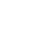Нагетосы